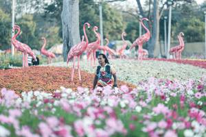 BIB: 
                            <button type="button" onclick="openModal(27344071)" class="btn btn-primary btn-sm float-right btn-popup" data-toggle="modal" data-target=".modal-high-quality">
                        <i class="fas fa-shopping-cart"></i> Add to Cart
                    </button>
                                            <button type="button" onclick="isThisMe(27344071, true)" class="btn btn-success btn-sm float-right btn-popup btn-isme hidden" data-toggle="tooltip" data-placement="bottom" title="นี่คือรูปของคุณใช่ไหม คลิกที่นี่เพื่อเอาเข้าอัลบั้ม">
                        <i class="fas fa-plus"></i> Add to album
                    </button>
                    <button type="button" onclick="isThisMe(27344071, false)" class="btn btn-warning btn-sm float-right btn-popup btn-isnotme hidden">
                        <i class="fas fa-ban"></i> Remove from album
                    </button>